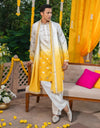 Ombre Silk Kurta for Men