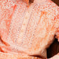 Coral Bloom Zardozi Kurta